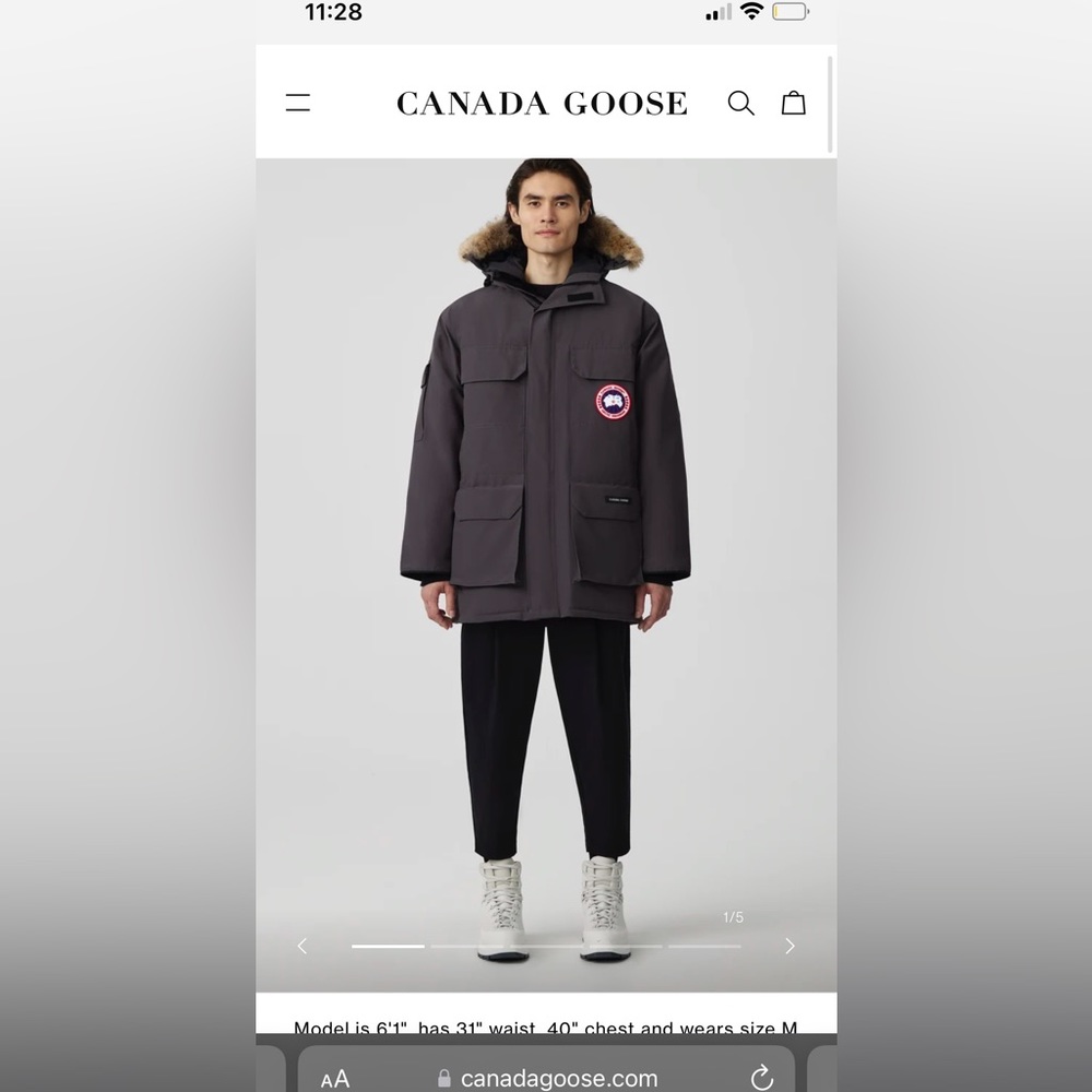 Canada goose